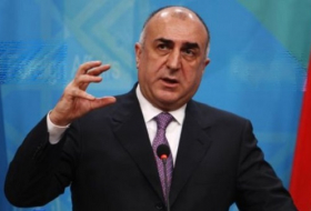 МИД: Энергопроекты активизировали региональное сотрудничество Азербайджана с Турцией и Грузией